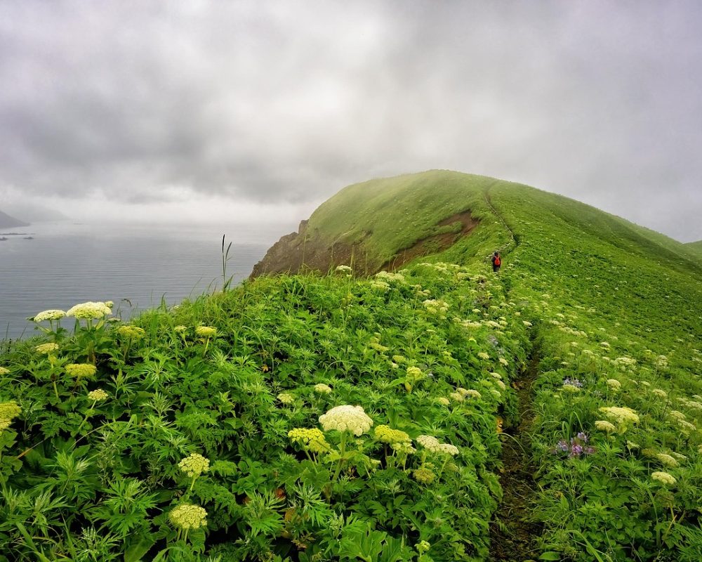 Friluftsliv och naturens under - Bild.