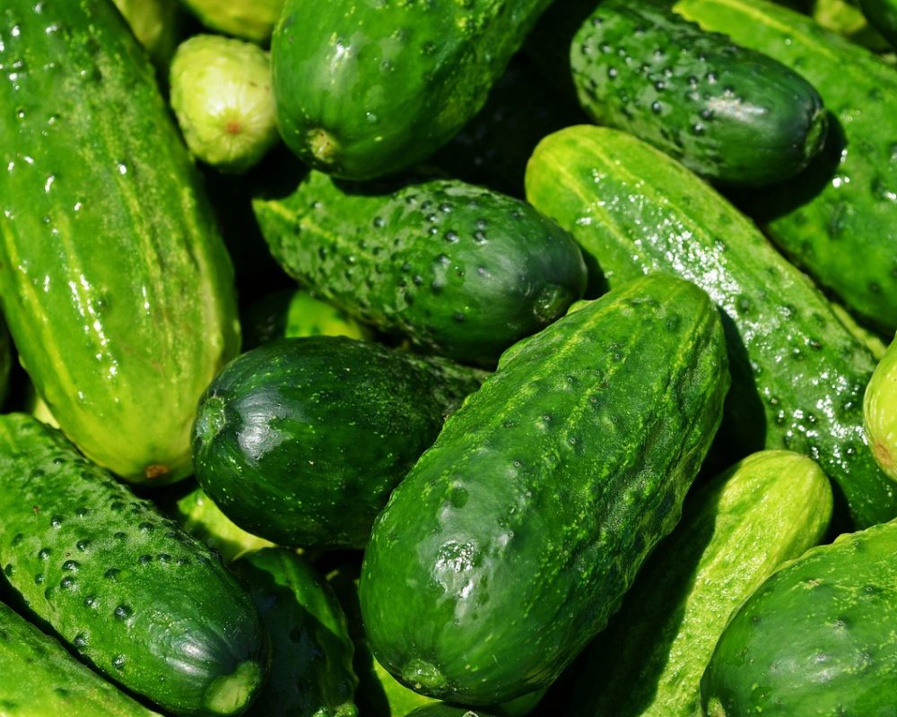 Kostens inflytande på hållbar kondition och energi - Bild.