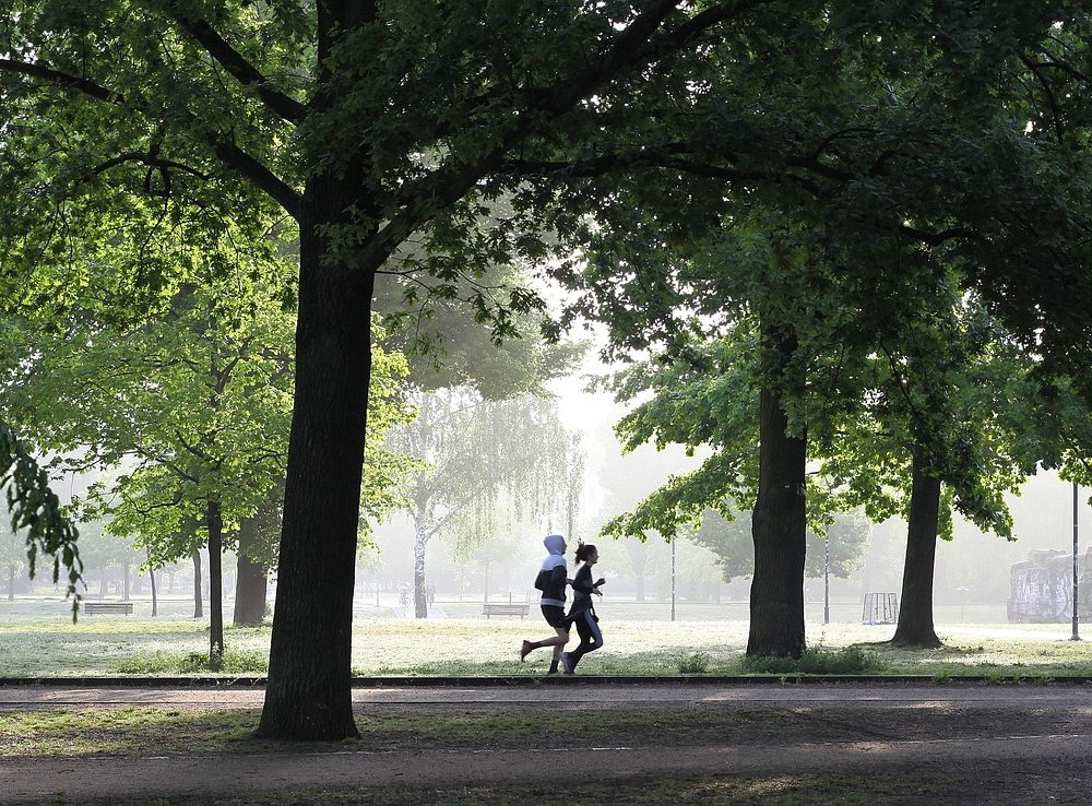 Glädje och personliga triumfer i löparens värld - Bild.