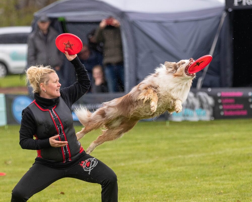 Frisbees historia och nutidens fascination - Bild.