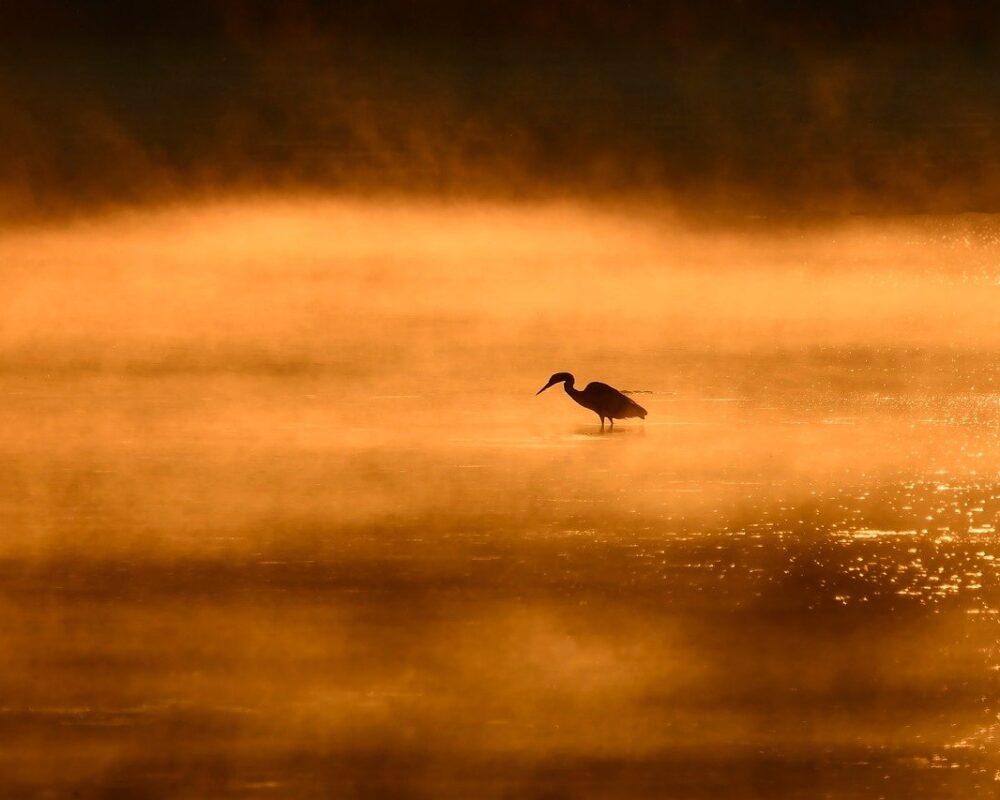 Minimalismens naturäventyr - Bild.