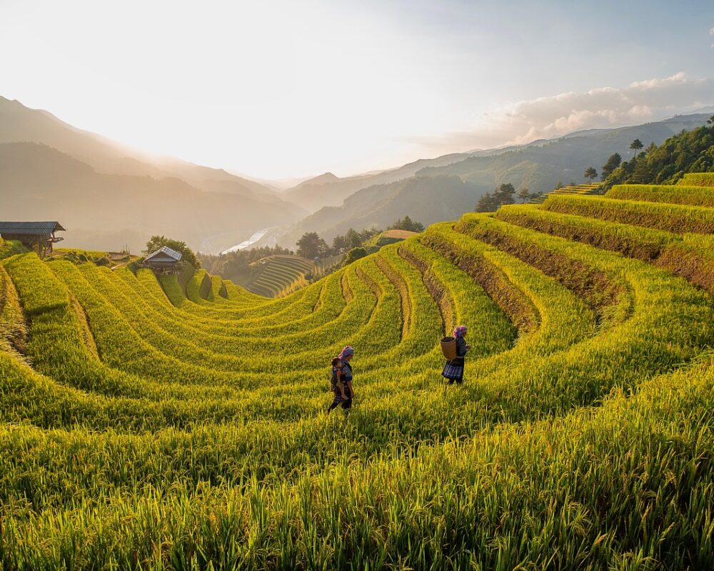 Friluftsträningens glädje och hälsoeffekter - Bild.
