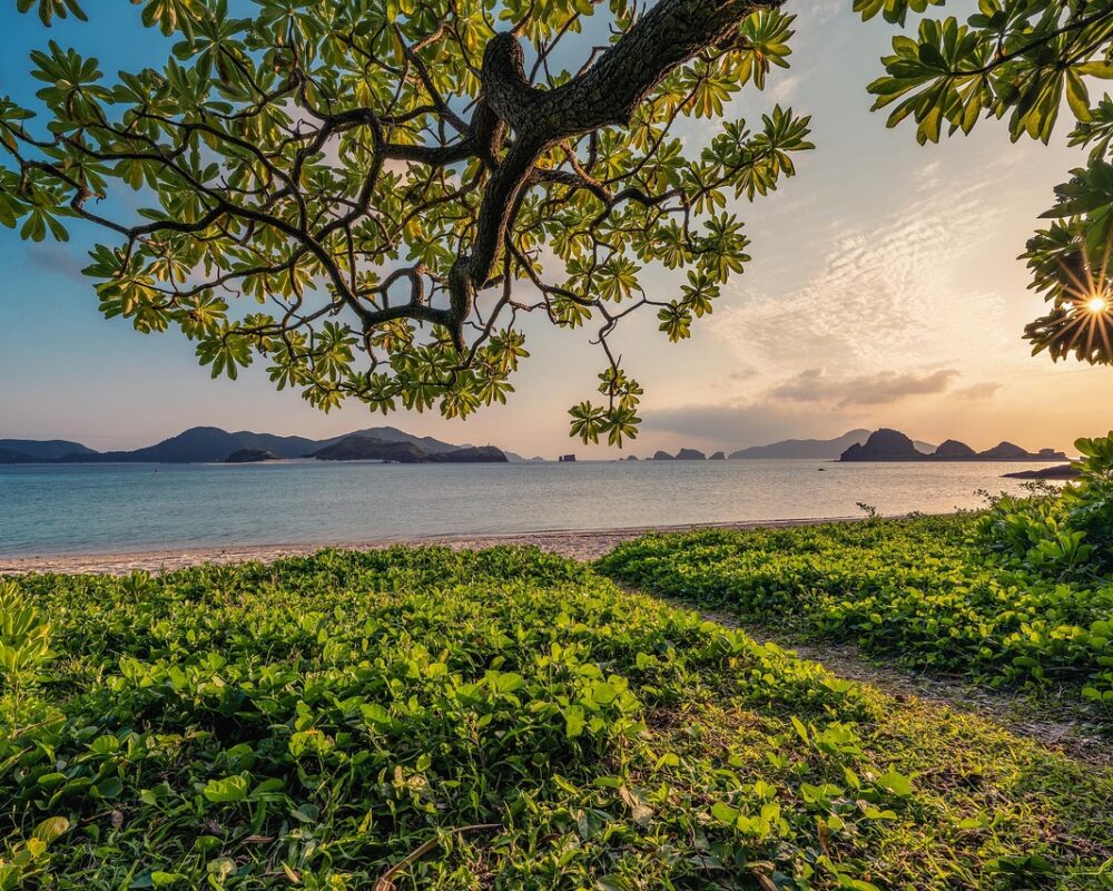 Att leva friluftsliv året runt – din guide till varje säsong - Bild.