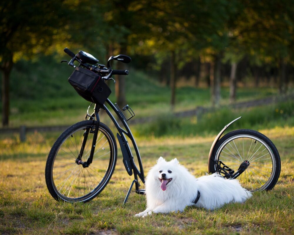 Upptäck kraften i en medveten och aktiv livsstil - Bild.