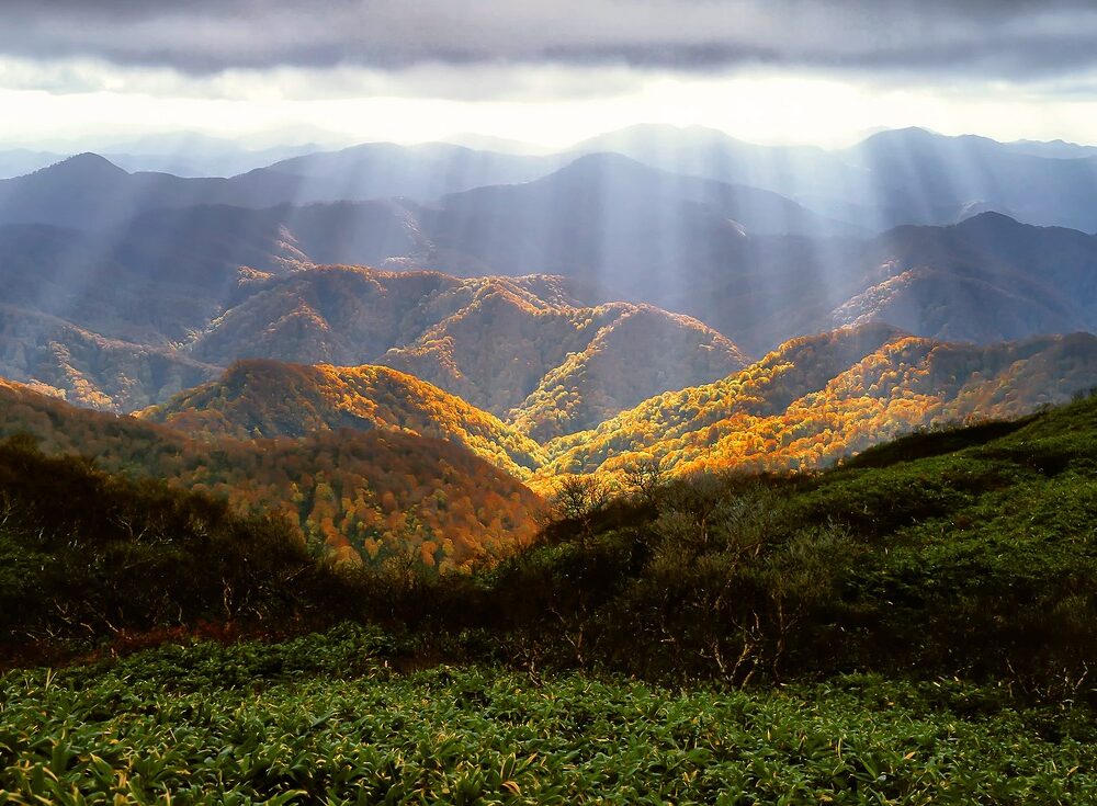 Hela kroppen träffas av fjällvandringens förtrollning - Bild.
