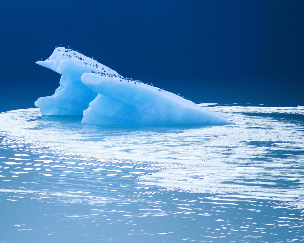 Att upptäcka naturens rikedom med allemansrätten - Bild.
