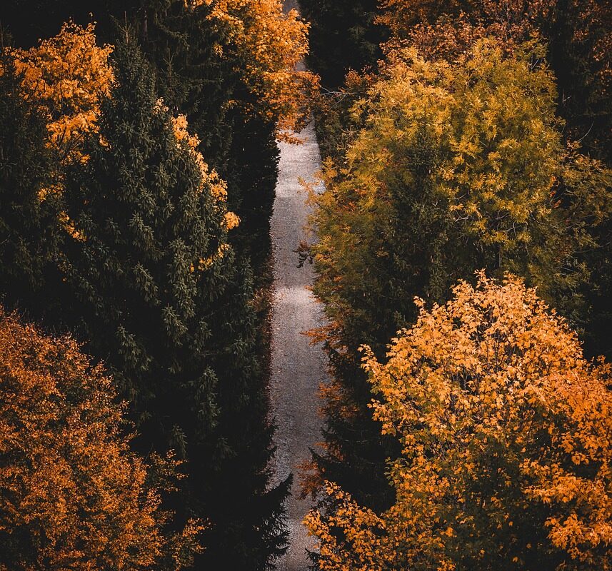 Vandringens lockelse och upptäckter - Bild.