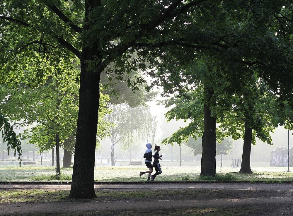 Den helande kraften av regelbunden konditionsträning - Bild.