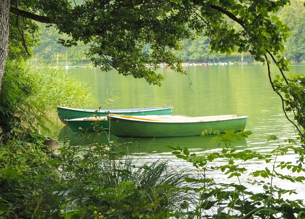 Padel, mer än bara tennis och squash - Bild.