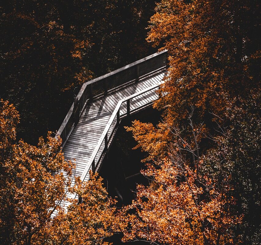 Hikeball tar sportvärlden med storm - Bild.
