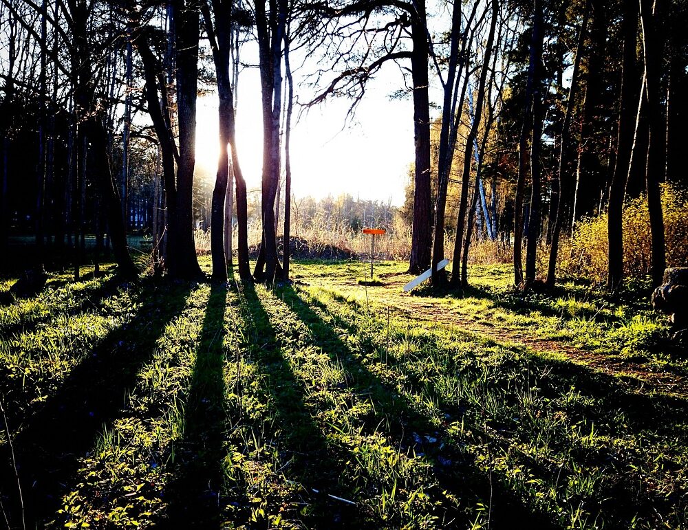 Upptäck glädjen med discgolf - Bild.